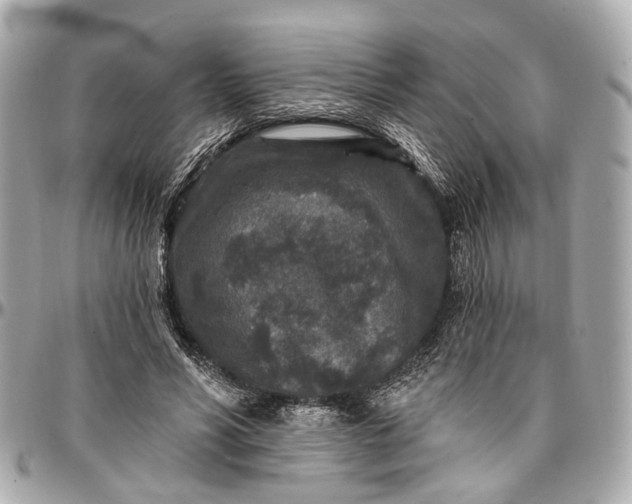 X0000096990590200802221459