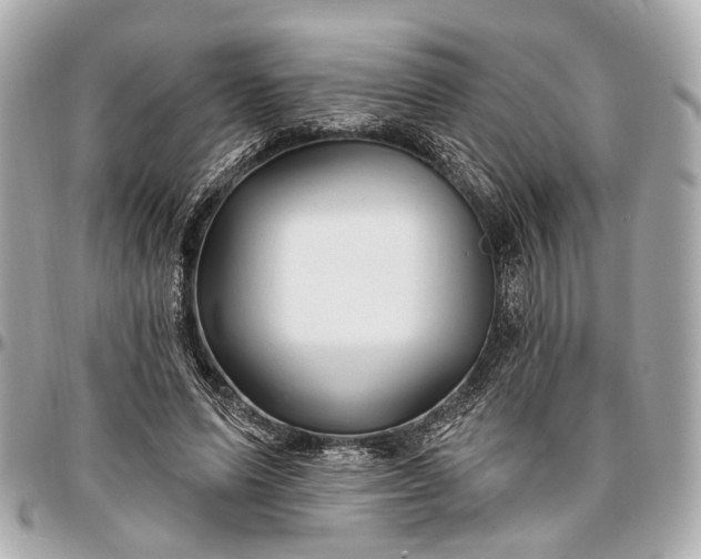 X0000096990591200802221459