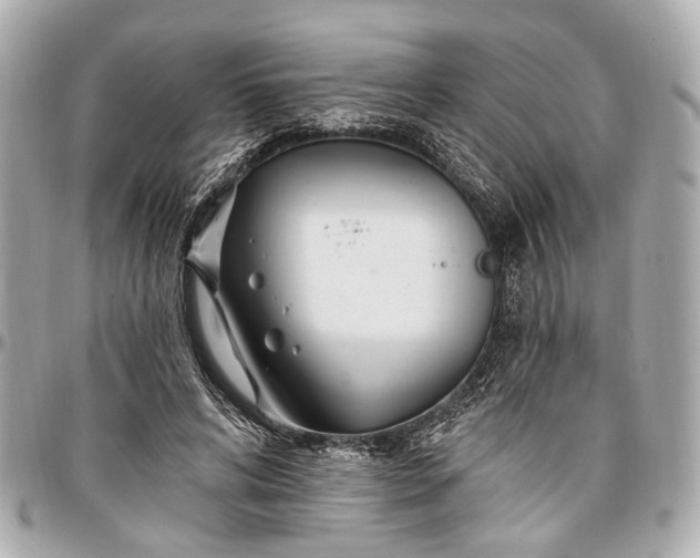 X0000096990592200802221459