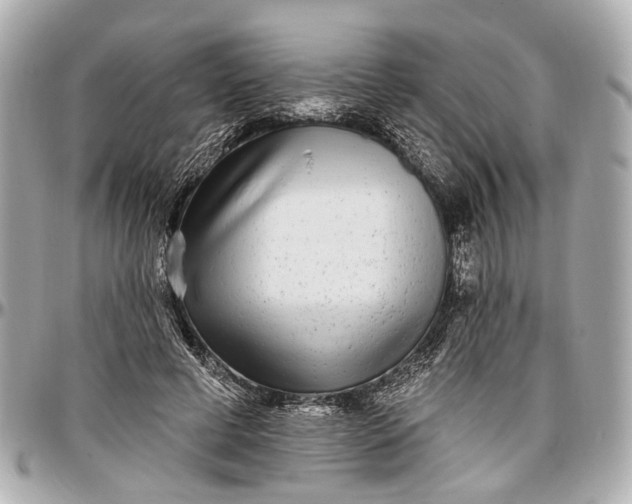 X0000096990593200802221459