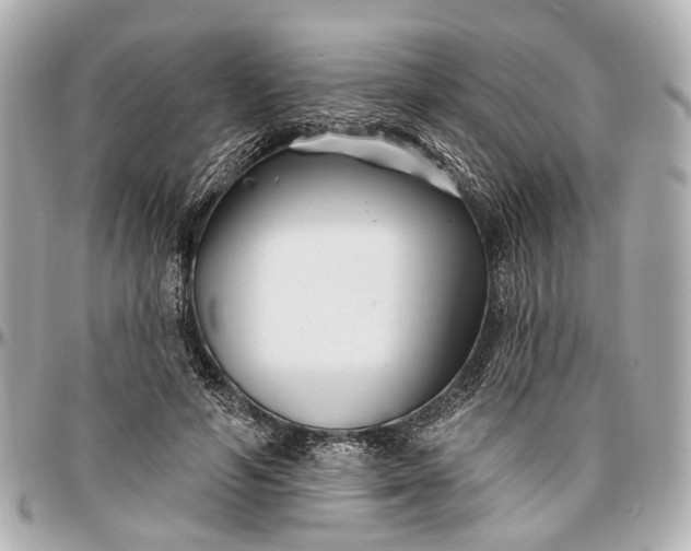 X0000096990594200802221459