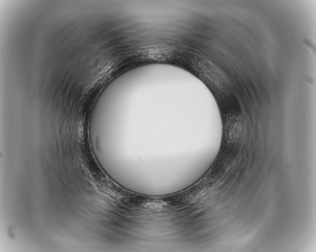 X0000096990595200802221459