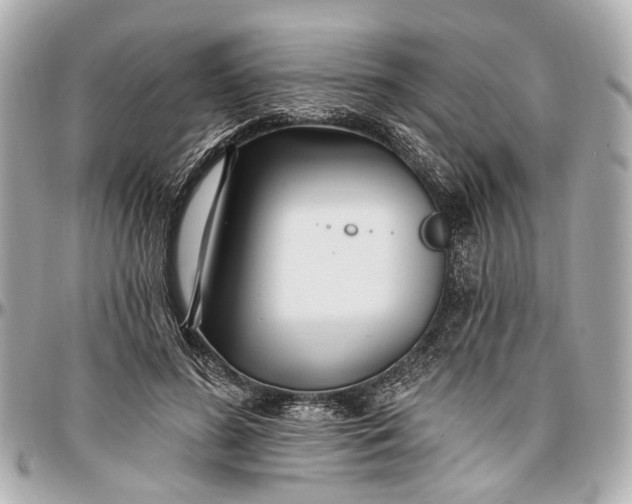 X0000096990596200802221459