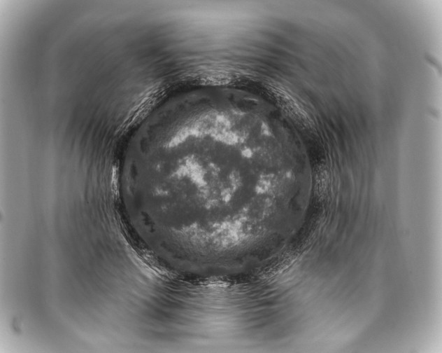 X0000096990598200802221459