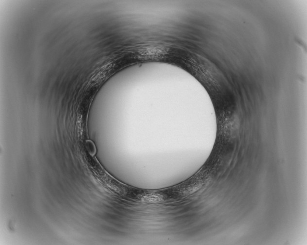 X0000096990599200802221459