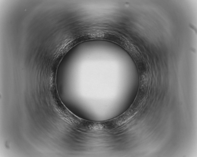 X0000096990600200802221459