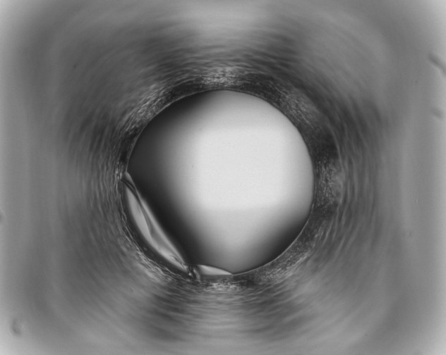 X0000096990601200802221459