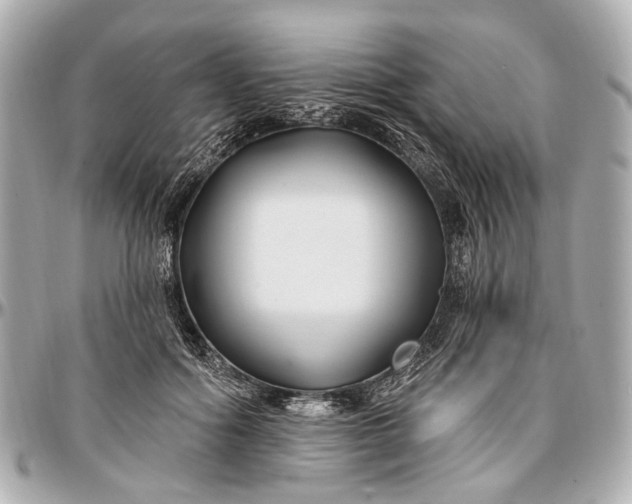 X0000096990602200802221459