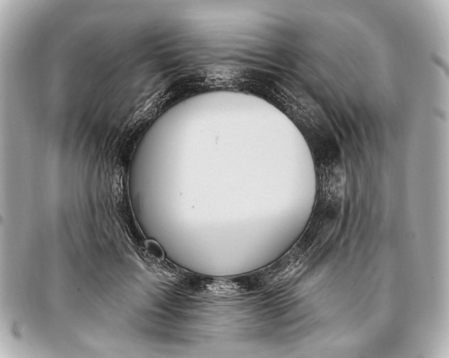 X0000096990603200802221459