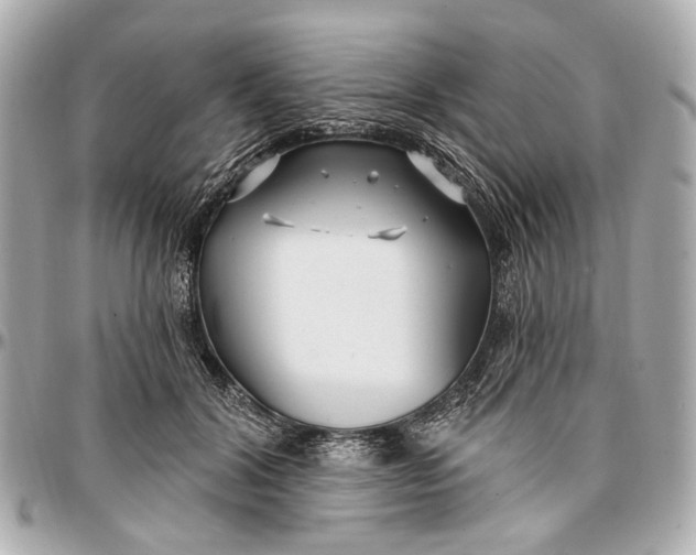 X0000096990604200802221459