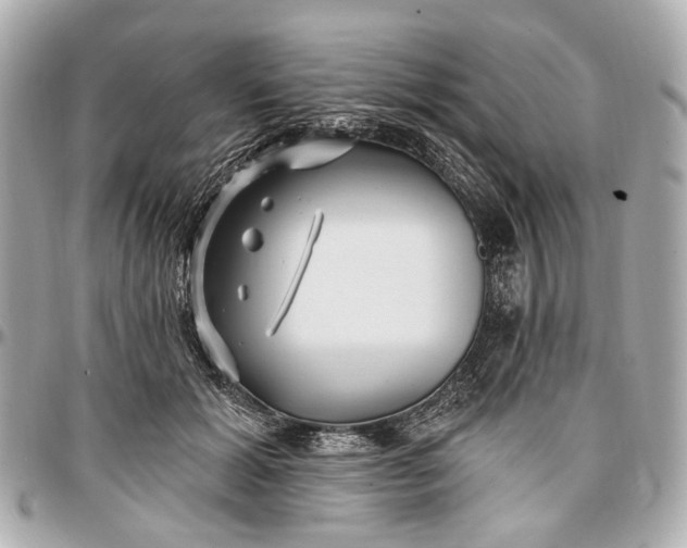 X0000096990605200802221459