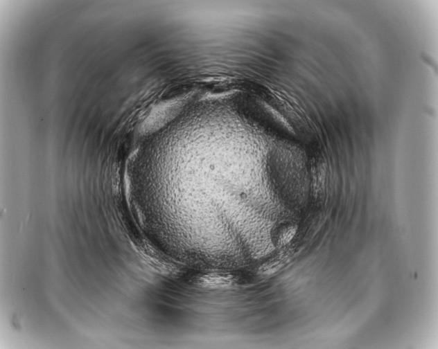 X0000096990606200802221459