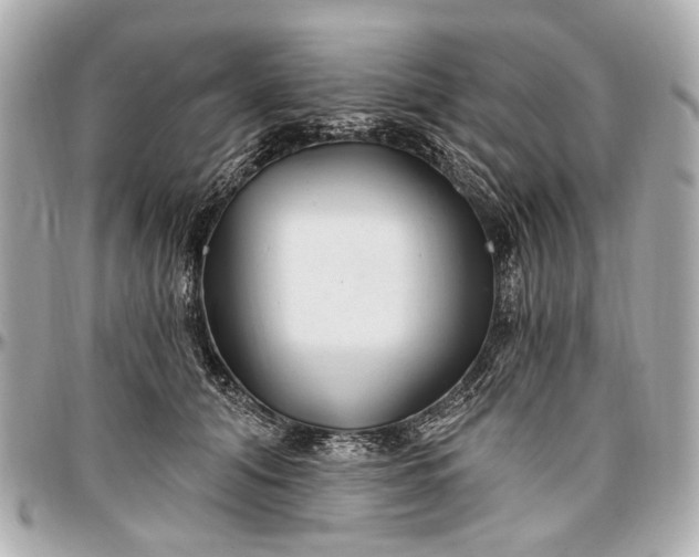 X0000096990608200802221459