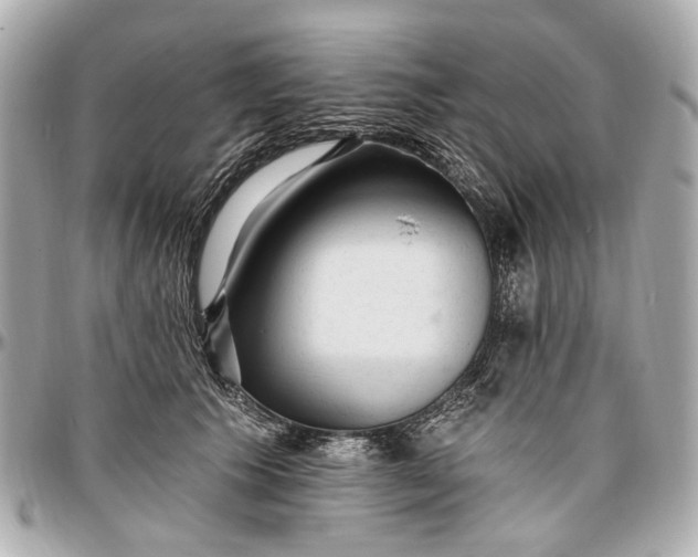 X0000096990609200802221459