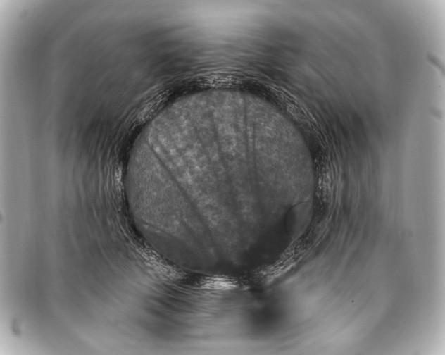 X0000096990610200802221459