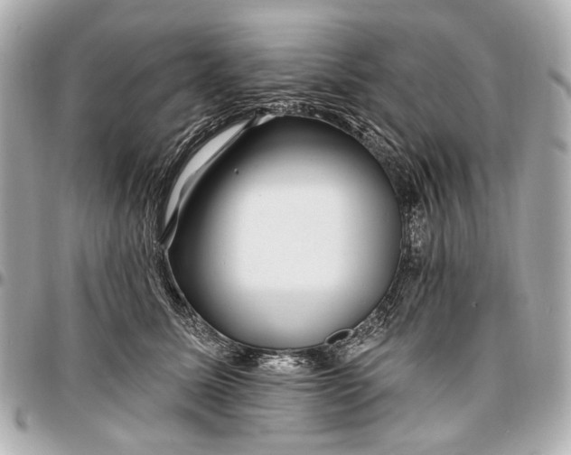 X0000096990611200802221459