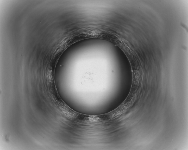 X0000096990612200802221459