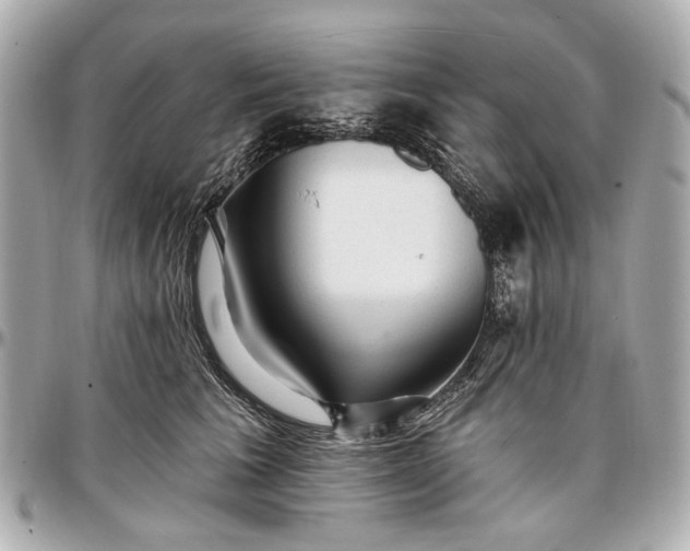 X0000096990613200802221459