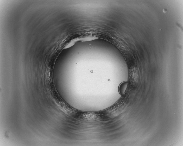 X0000096990615200802221459