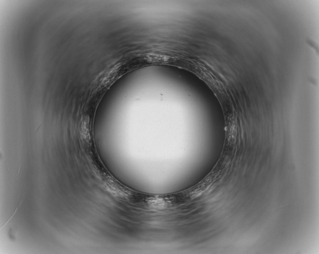 X0000096990616200802221459