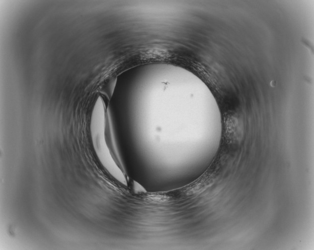 X0000096990617200802221459