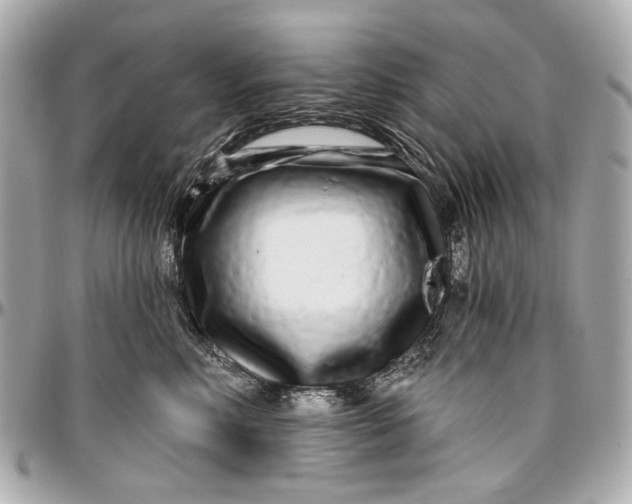 X0000096990618200802221459