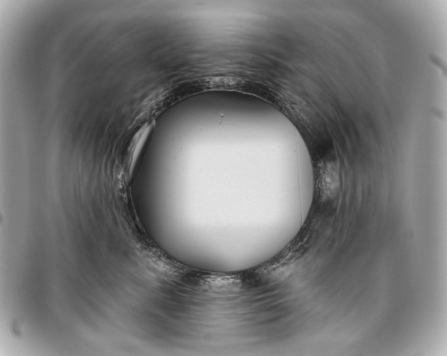 X0000096990619200802221459