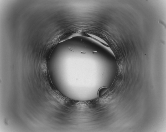 X0000096990620200802221459