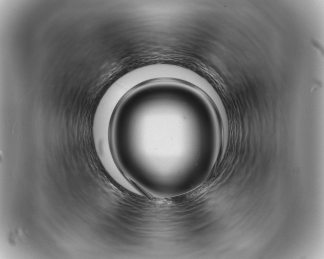 X0000096990621200802221459