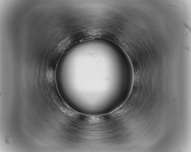 X0000096990623200802221459