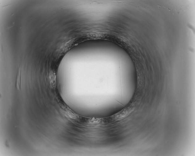 X0000096990624200802221459