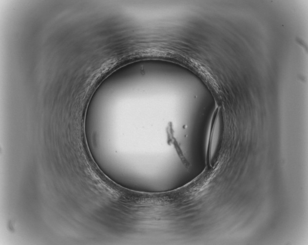 X0000096990625200802221458