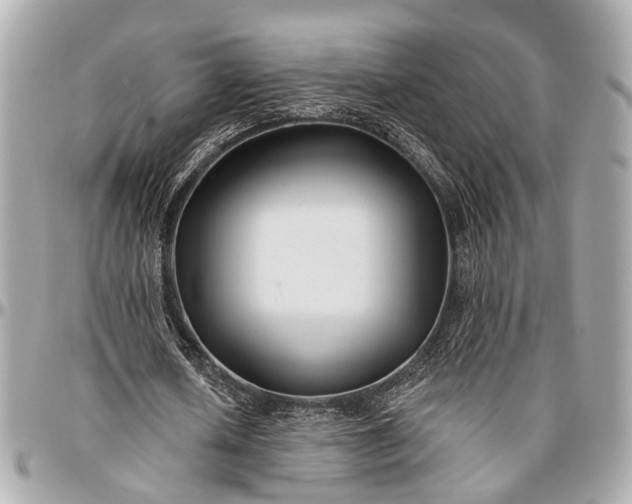 X0000096990626200802221458