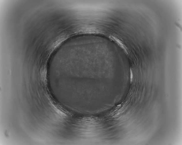 X0000096990627200802221458