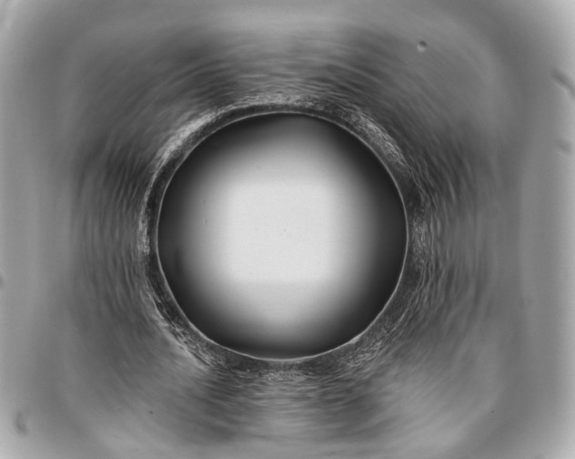 X0000096990628200802221458