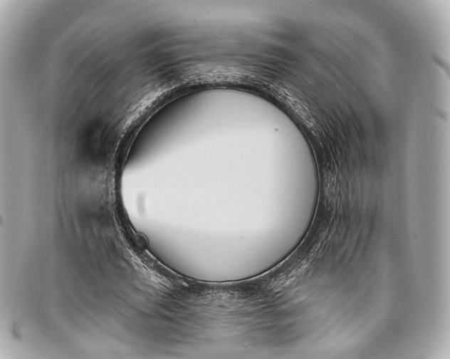 X0000096990629200802221458