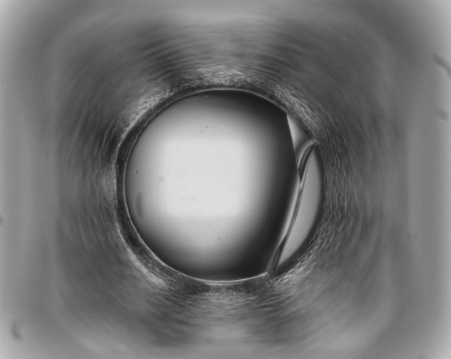 X0000096990630200802221458