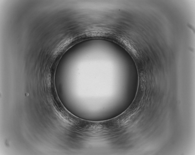 X0000096990631200802221458