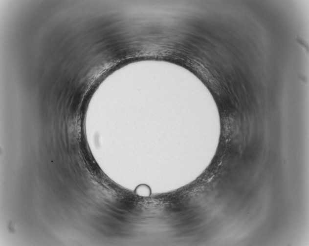 X0000096990632200802221458