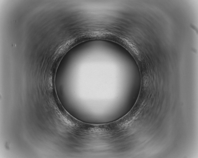 X0000096990633200802221458