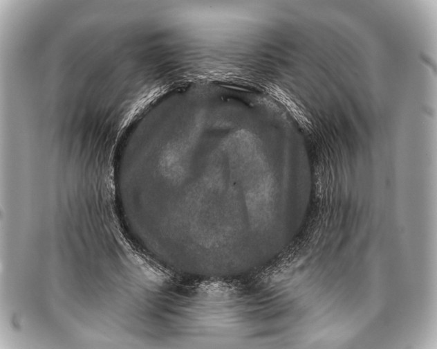 X0000096990634200802221458