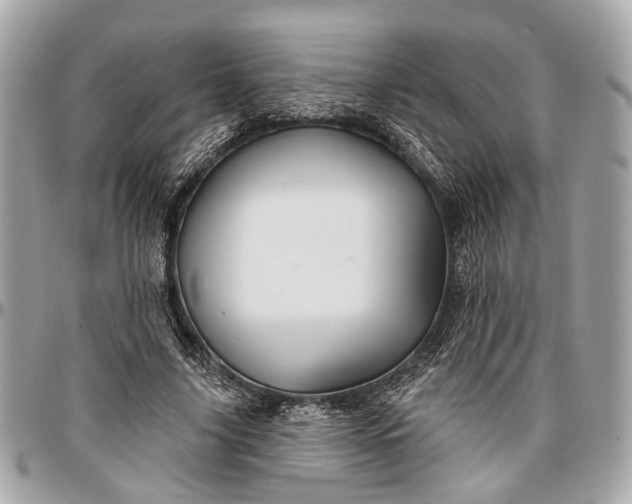 X0000096990635200802221458