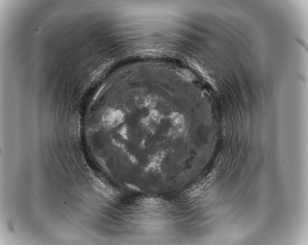 X0000096990637200802221458