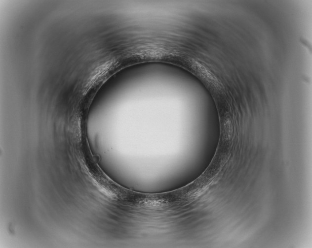 X0000096990638200802221458