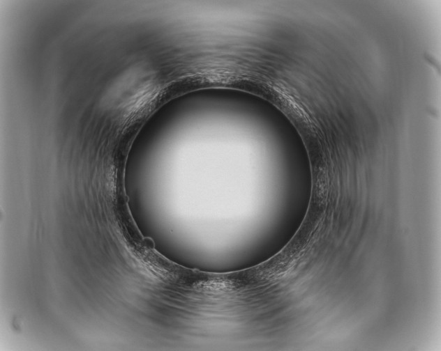 X0000096990639200802221458