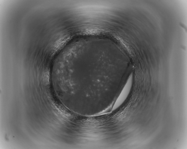 X0000096990640200802221458