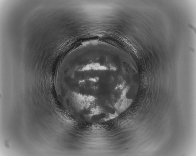 X0000096990641200802221458