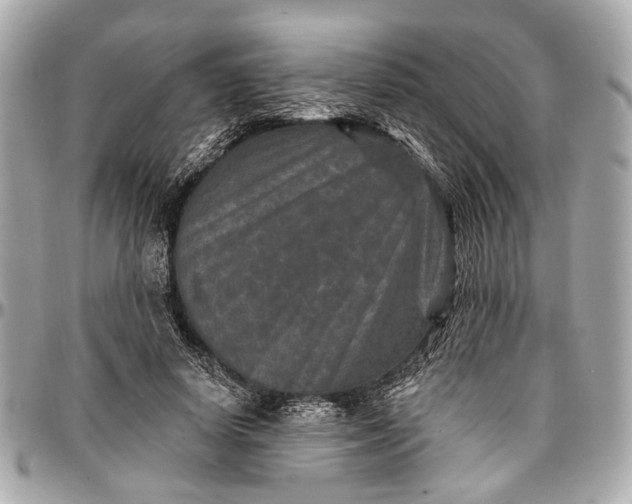 X0000096990642200802221458