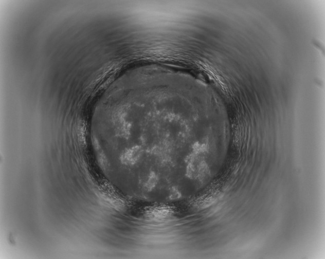 X0000096990643200802221458