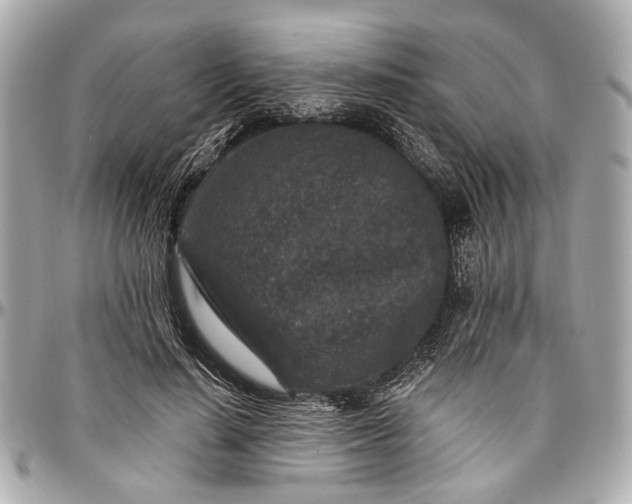 X0000096990644200802221458